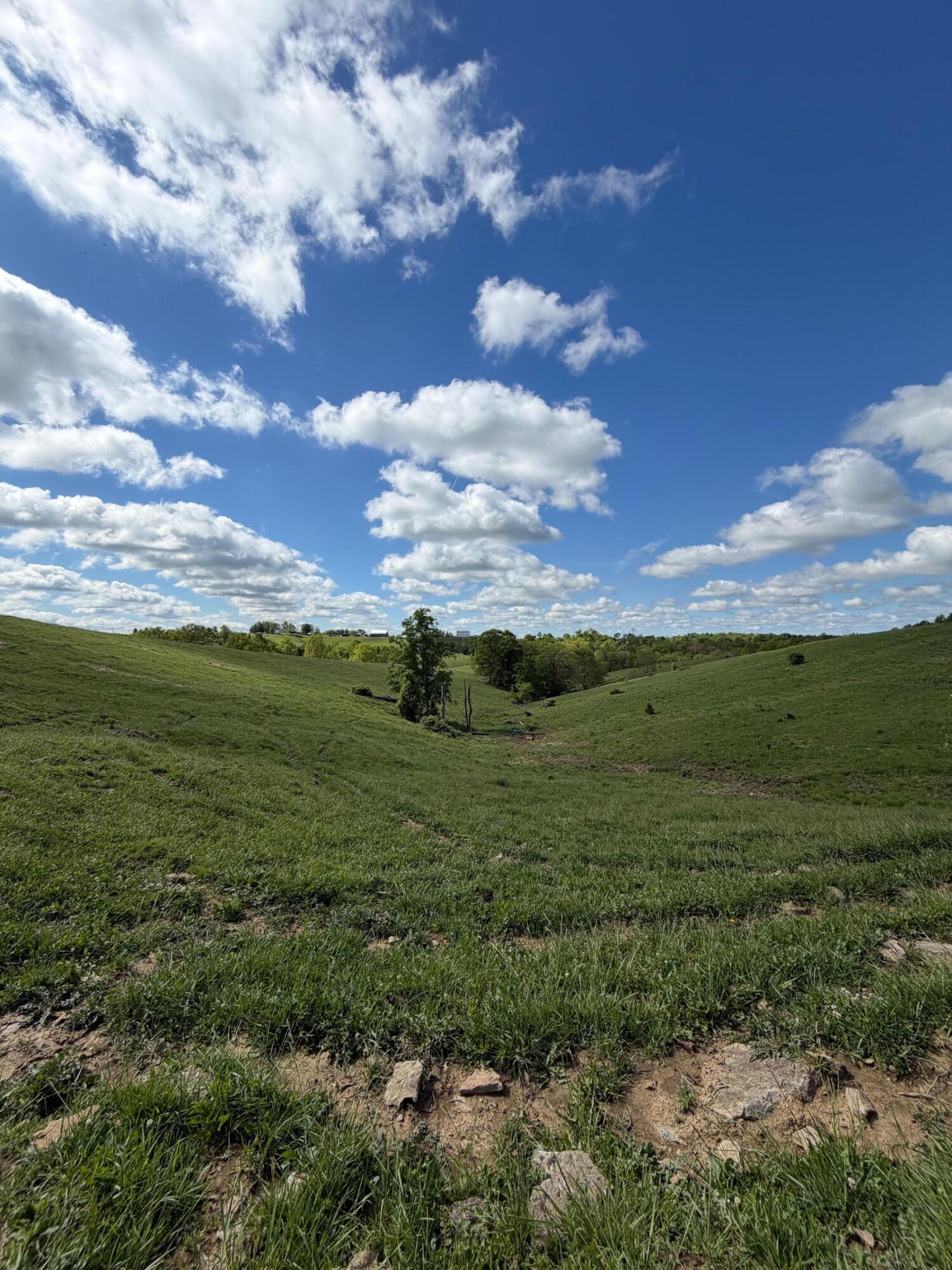 20.99-ac Chipman Ridge Road Williamstown, KY 41097 - Photo 11 of 21