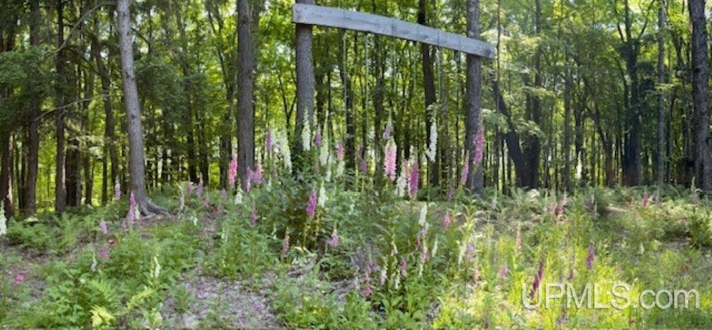 N7228 Rock River Road Deerton, MI 49822 - Photo 27 of 46