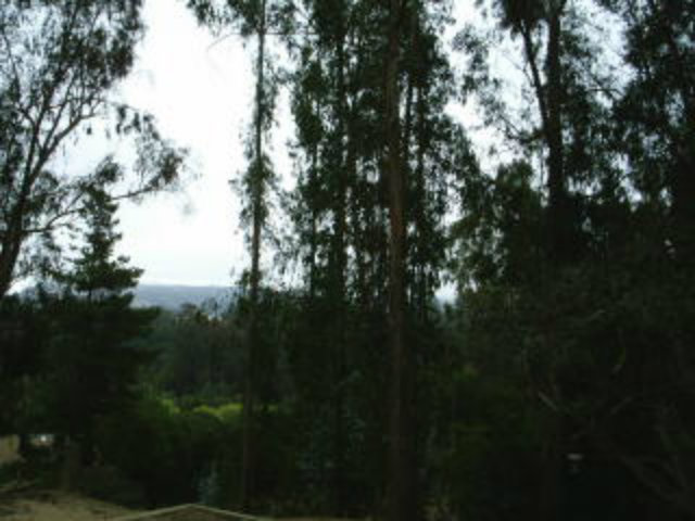 52 Carneros Road Aromas, CA 95004 - Photo 16 of 17 Gallery Image 16