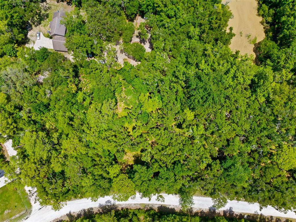 0 Ricebird Avenue, Unit LOT 89 Weeki Wachee, FL 34614 - Photo 14 of 27