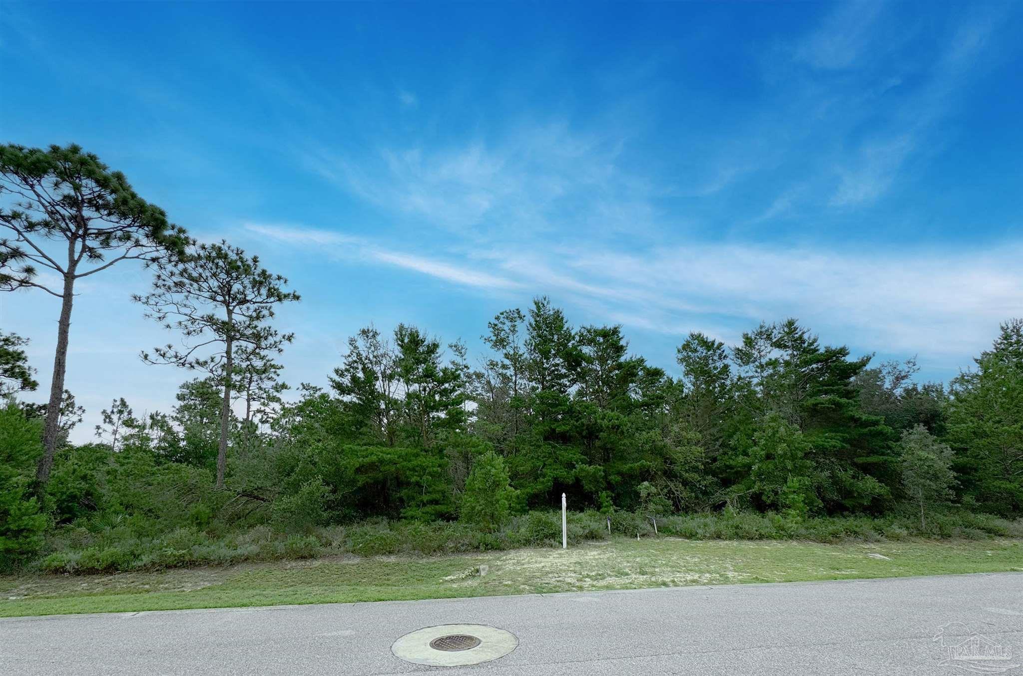 569 Downhaul Drive Pensacola, FL 32507 - Photo 13 of 13 a view of a yard with a tree