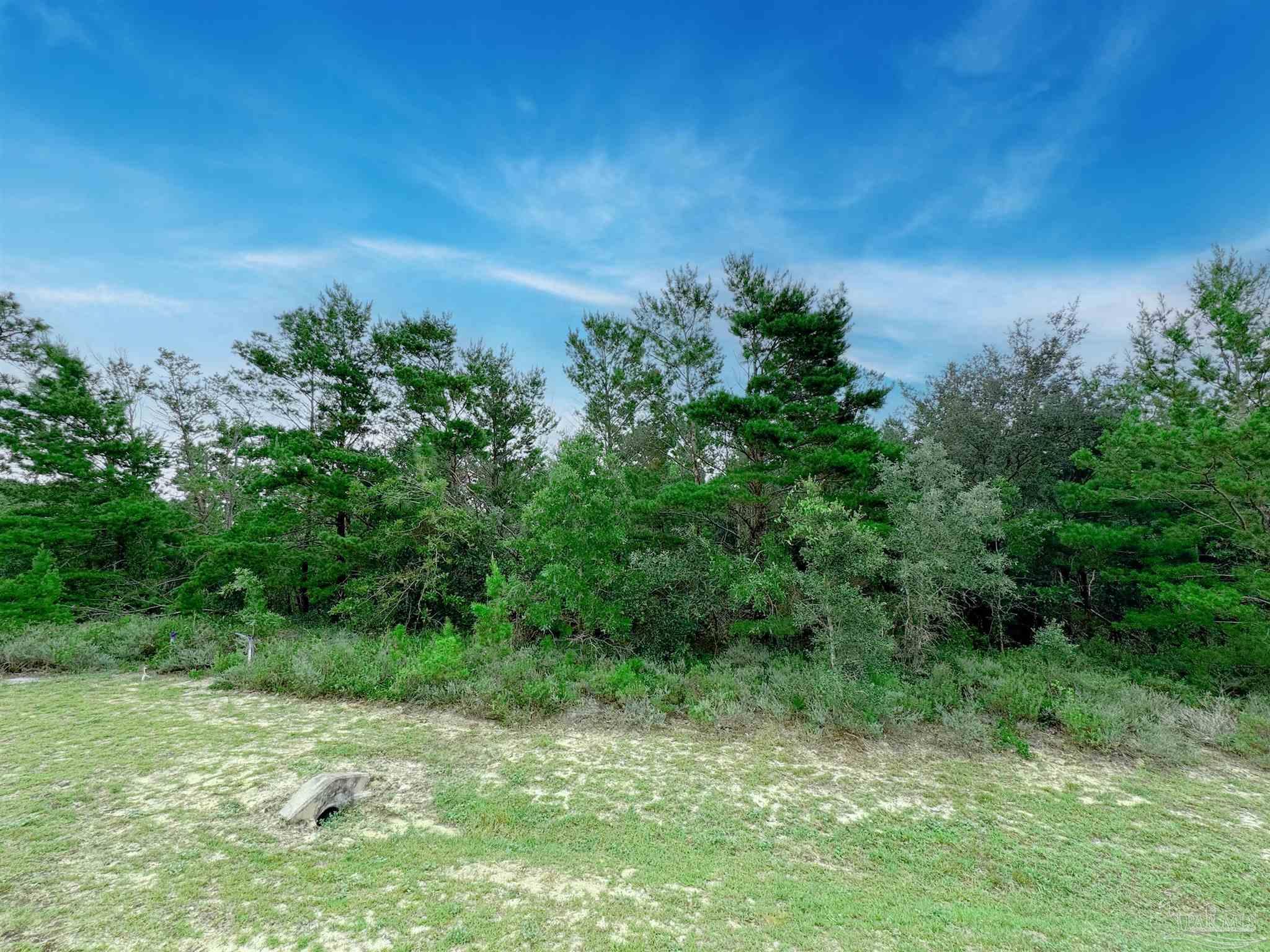 569 Downhaul Drive Pensacola, FL 32507 - Photo 3 of 13 a view of a yard with a tree