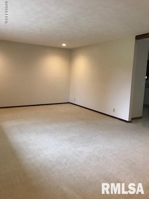 180 Sasamac Road Carbondale, IL 62903 - Photo 3 of 11 Gallery Image 3