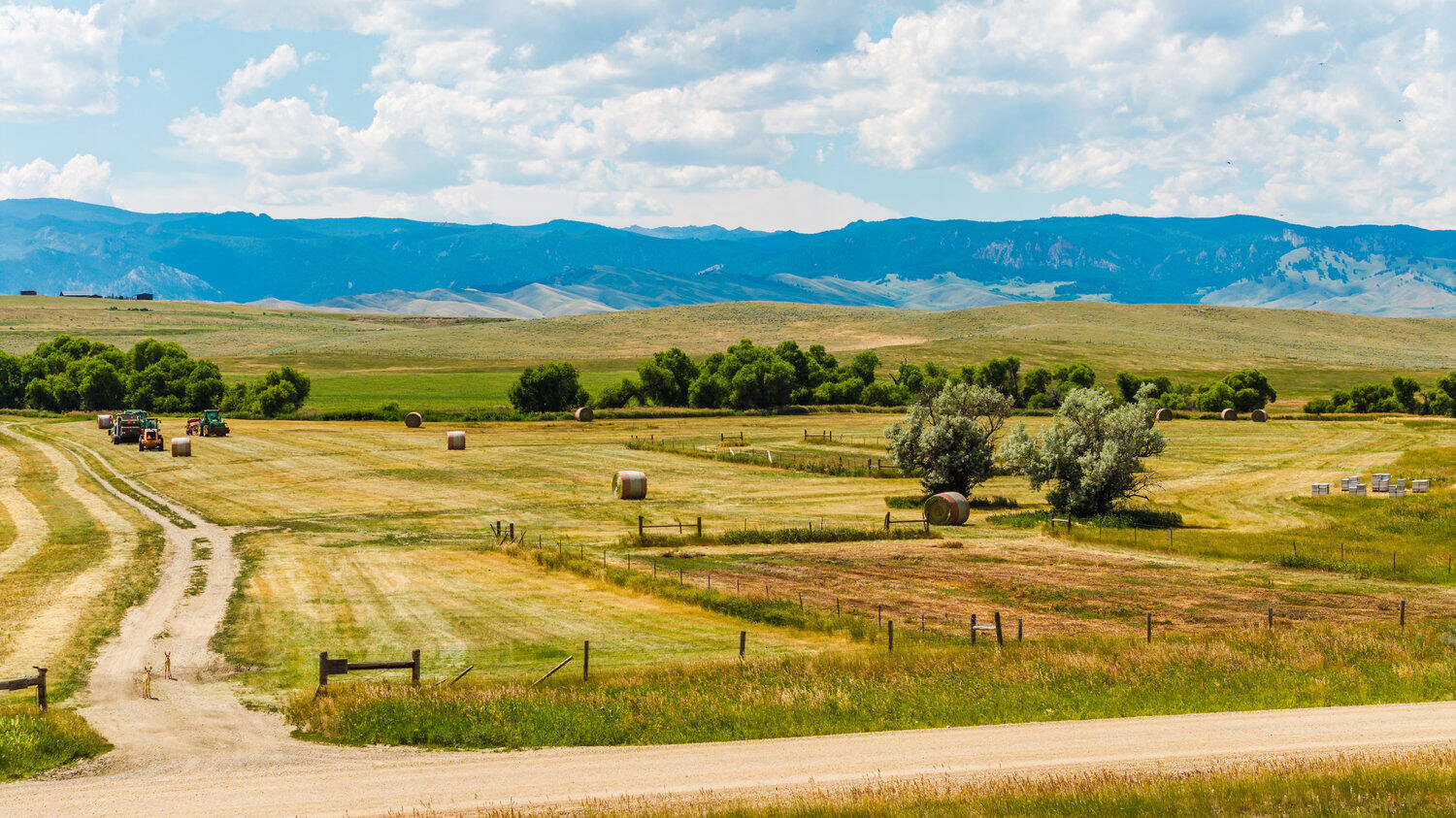 3 Barkey Lane Buffalo, WY 82834 - Photo 14 of 16 14