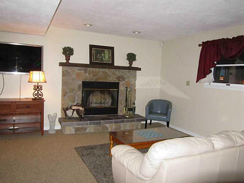 296 Sun Mine Road Sarver, PA 16055 - Photo 15 of 25 Family Room. Lower Level Family Room has Wood Burning Stone Fireplace with Heatilator