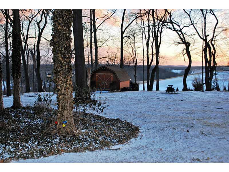 296 Sun Mine Road Sarver, PA 16055 - Photo 23 of 25 Yard/Garden. 1 acre Level Lot with Mature Black Cherry and Black Walnut Trees