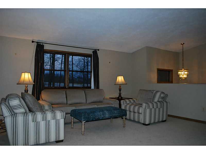 296 Sun Mine Road Sarver, PA 16055 - Photo 4 of 25 Living Room. Living Room with vaulted ceiling has New Carpet