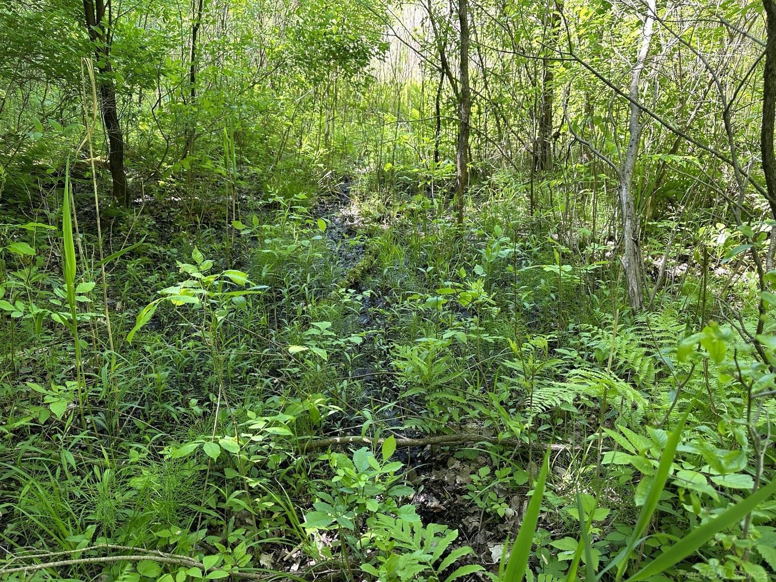 V/l Waltan Road Vassar, MI 48768 - Photo 17 of 21 Gallery Image 17