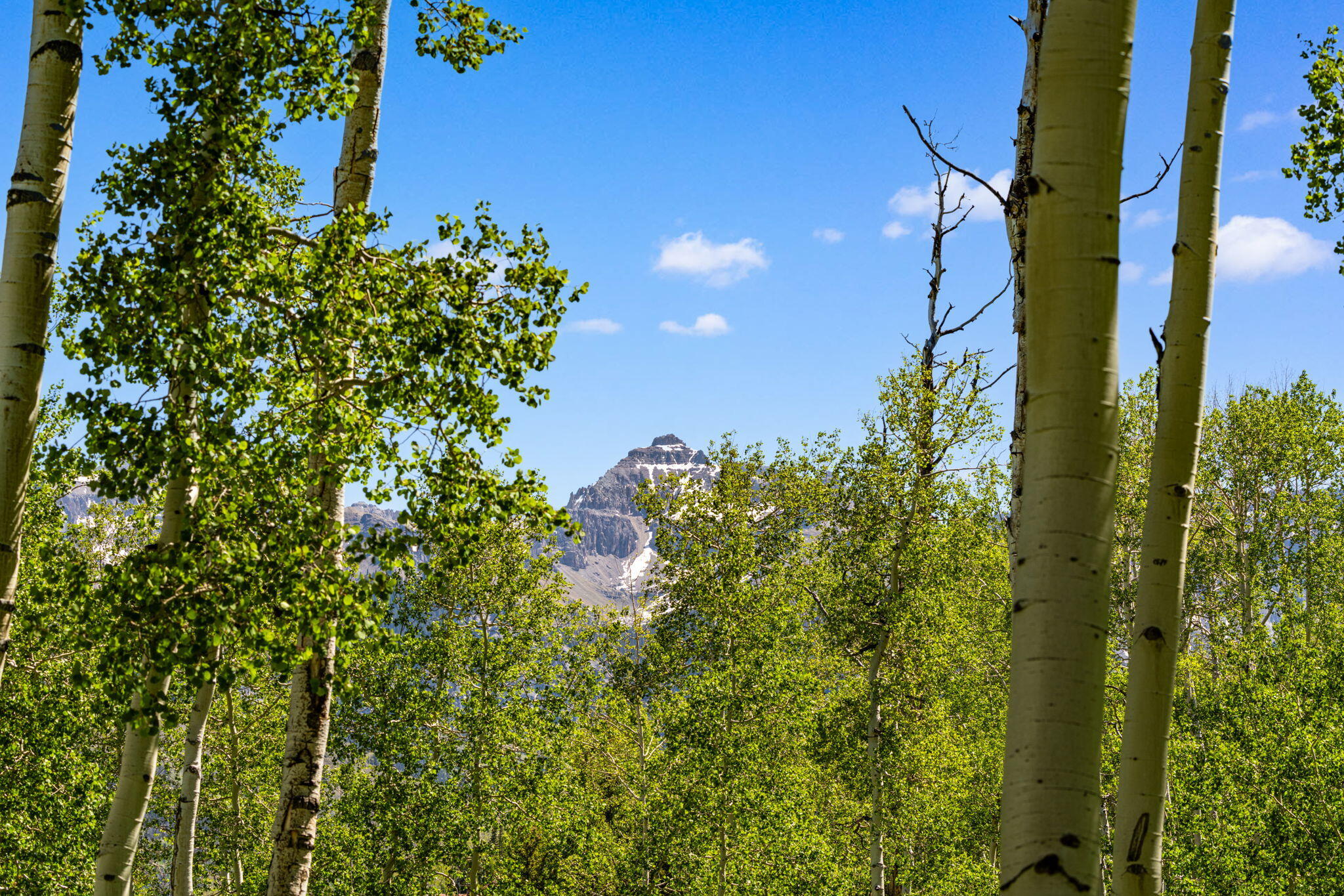 Tbd Wapiti Road Telluride, CO 81435 - Photo 14 of 20 Wapiti Lot 37