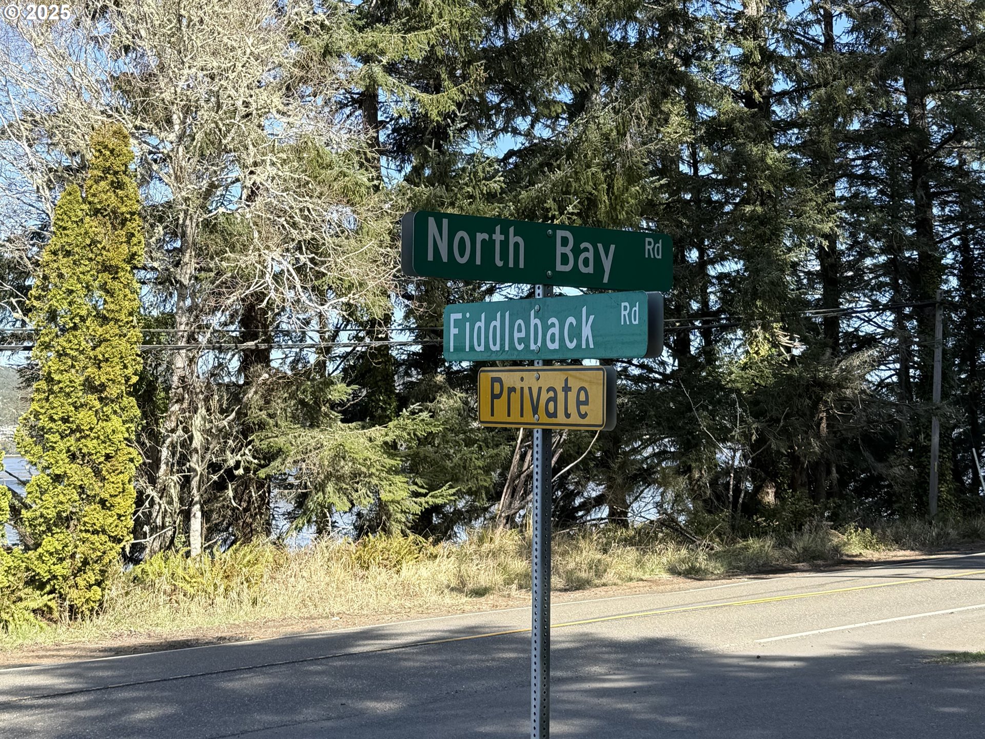 5 Cinnabar Road, Unit LOT #5 North Bend, OR 97459 - Photo 12 of 12