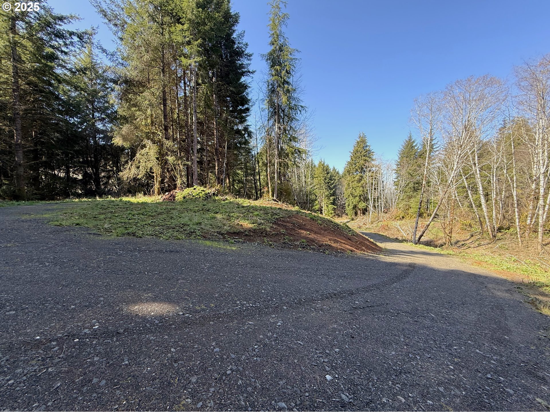 5 Cinnabar Road, Unit LOT #5 North Bend, OR 97459 - Photo 7 of 12