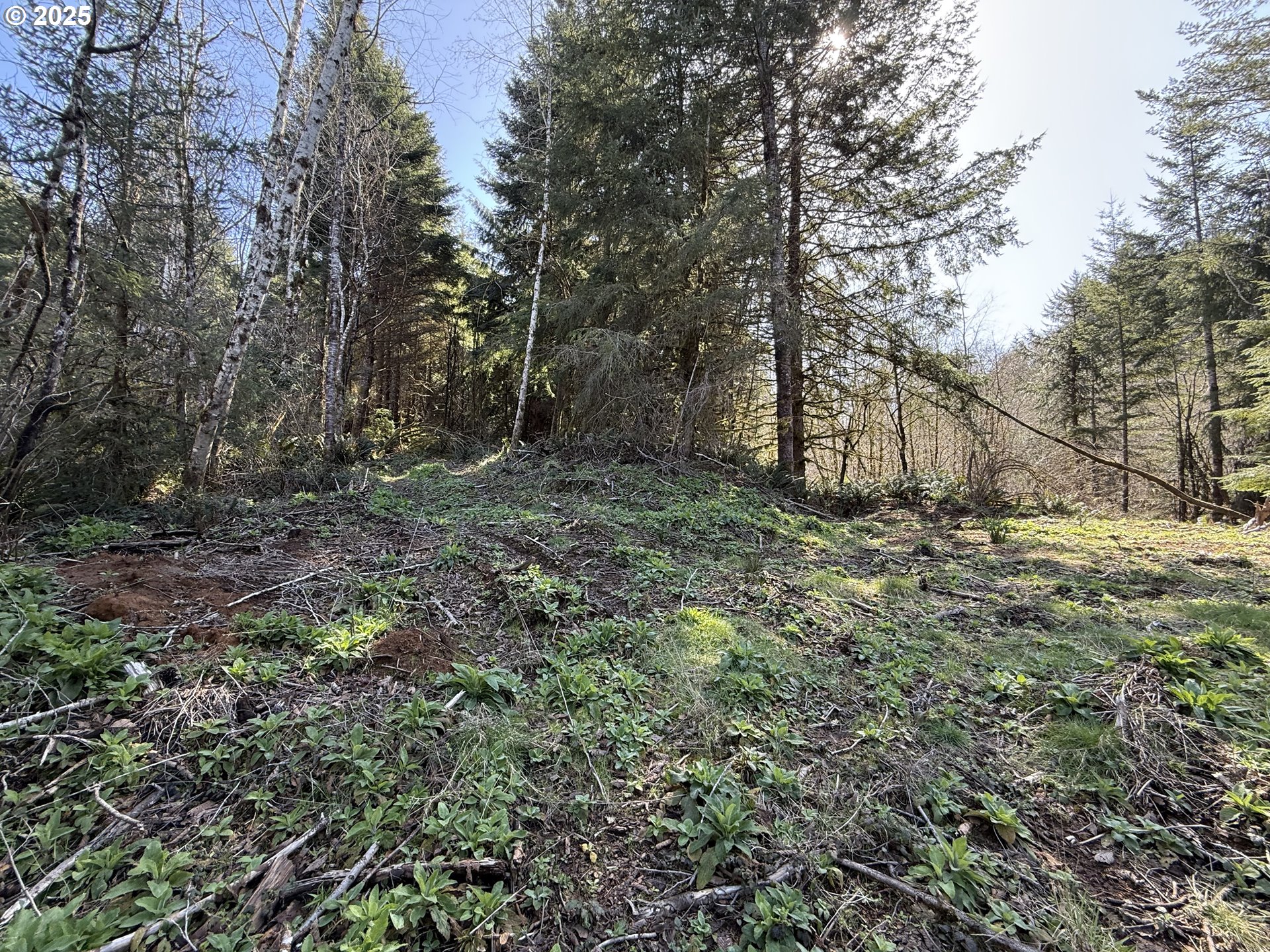 5 Cinnabar Road, Unit LOT #5 North Bend, OR 97459 - Photo 8 of 12
