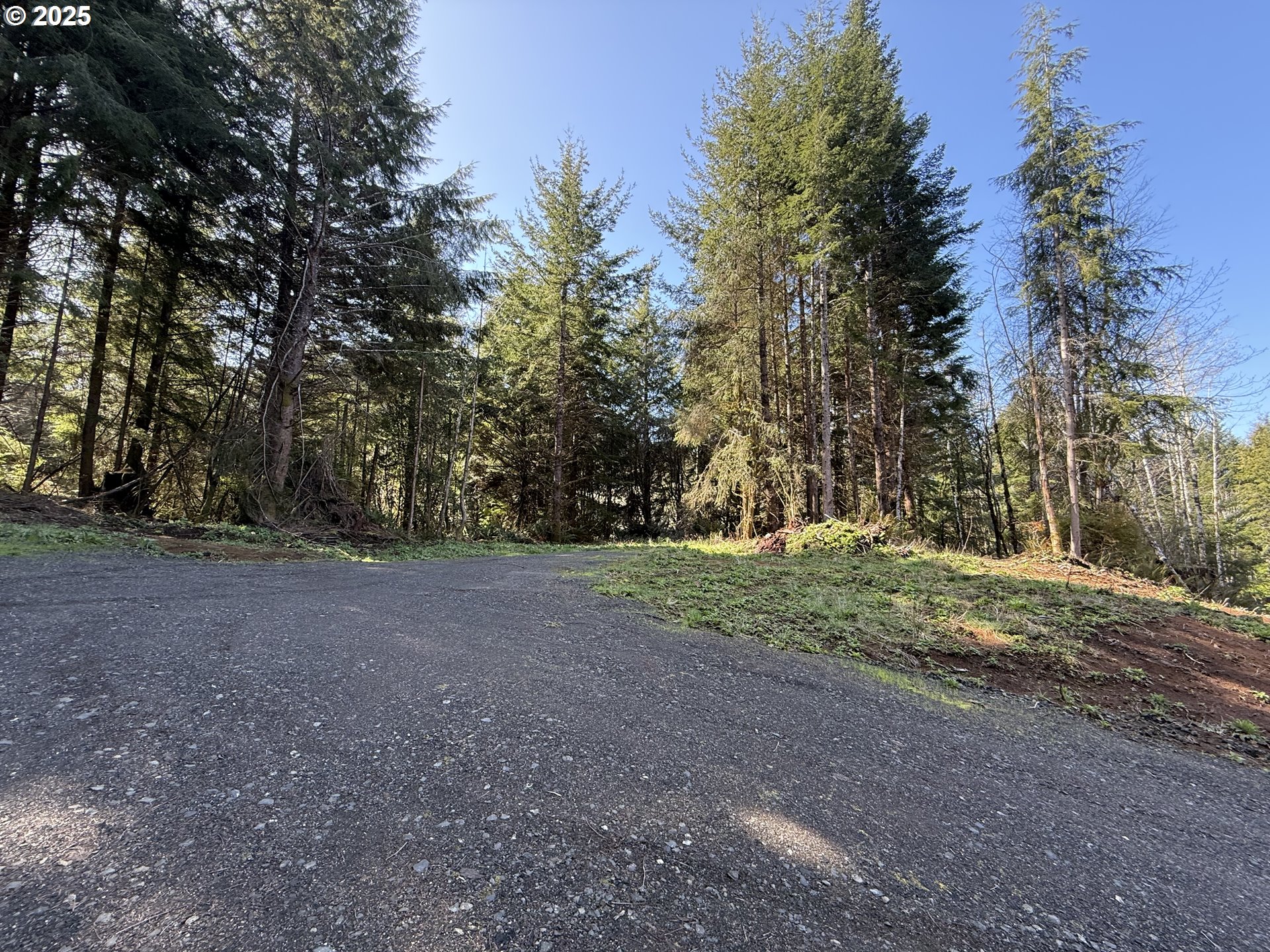 5 Cinnabar Road, Unit LOT #5 North Bend, OR 97459 - Photo 9 of 12
