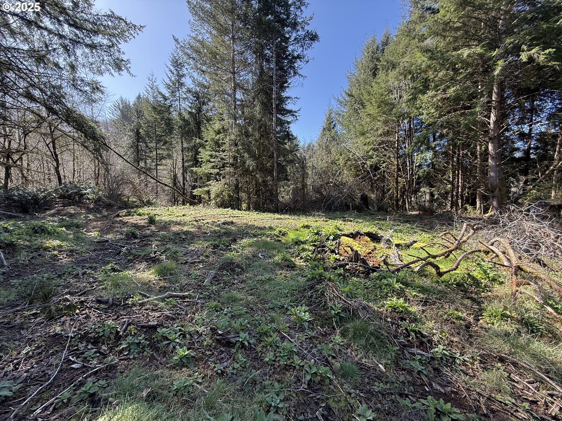 5 Cinnabar Road, Unit LOT #5 North Bend, OR 97459 - Photo 10 of 12