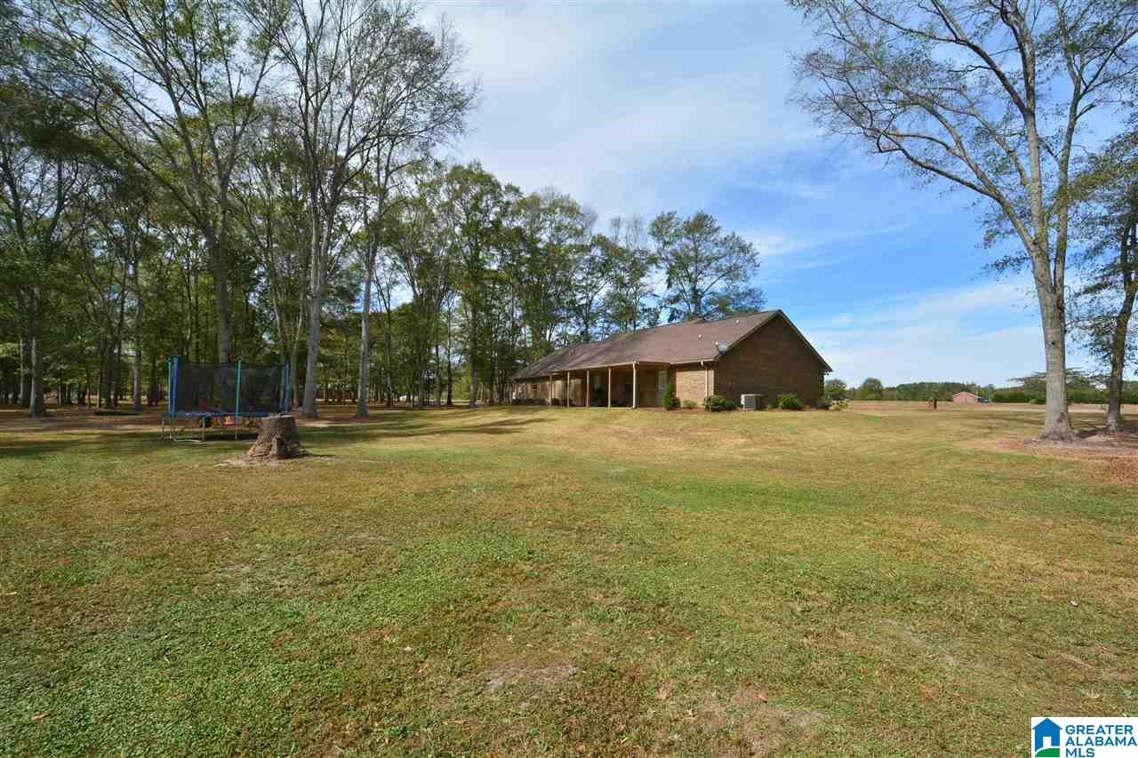 40 County Road 797 Clanton, AL 35045 - Photo 4 of 34