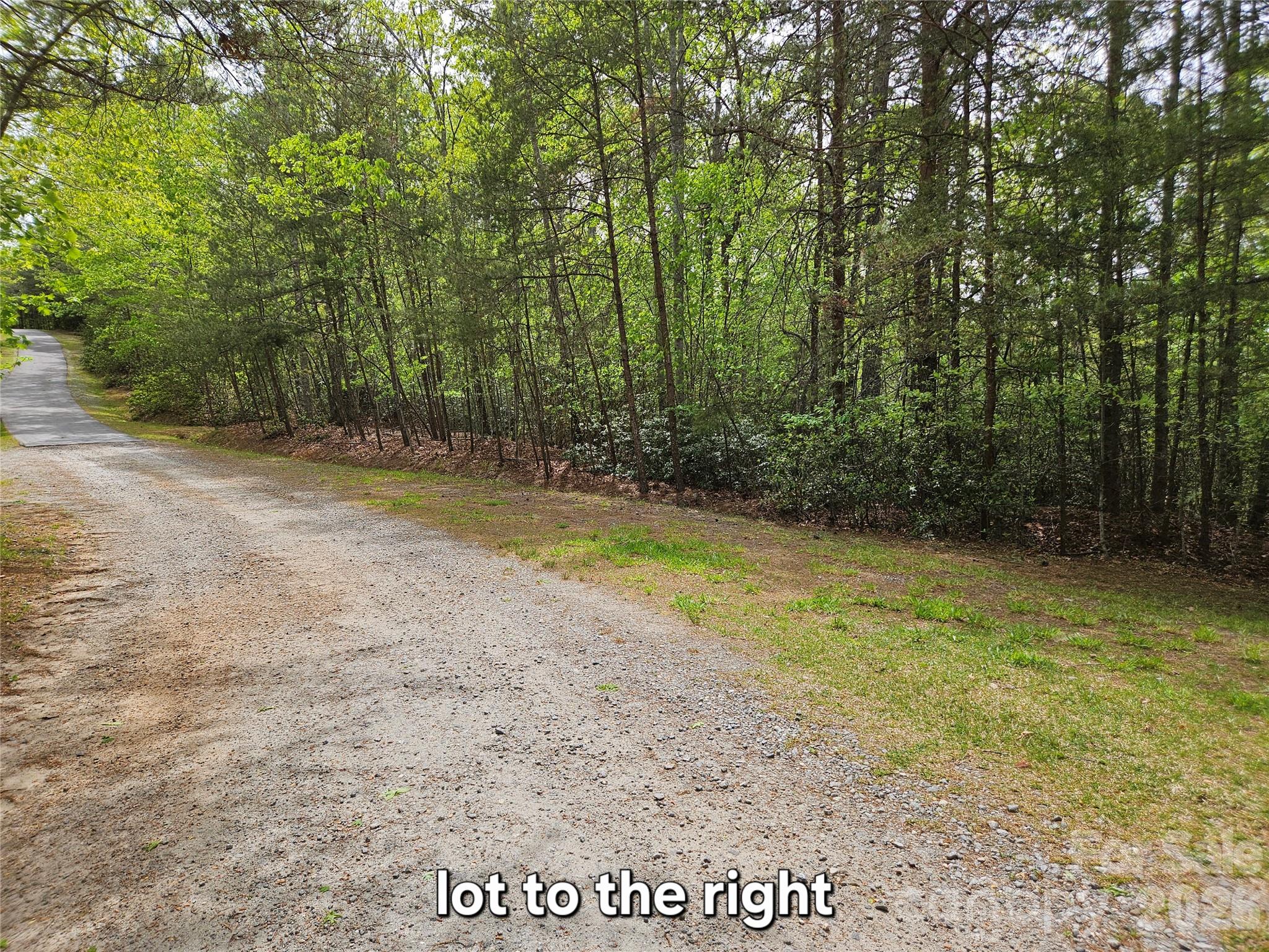 81 North Mill Ridge Nebo, NC 28761 - Photo 11 of 46 a view of a yard with trees