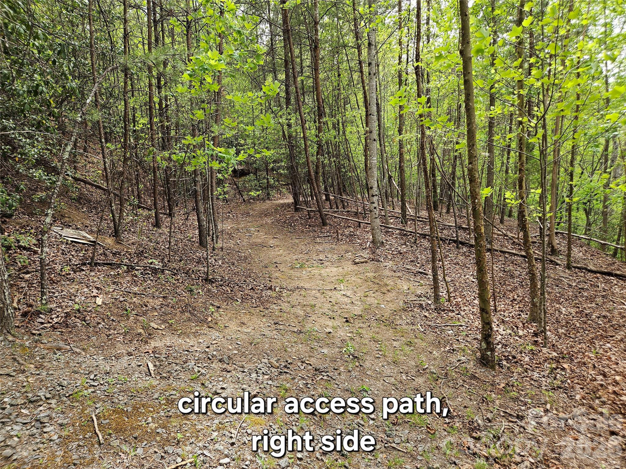 81 North Mill Ridge Nebo, NC 28761 - Photo 13 of 46