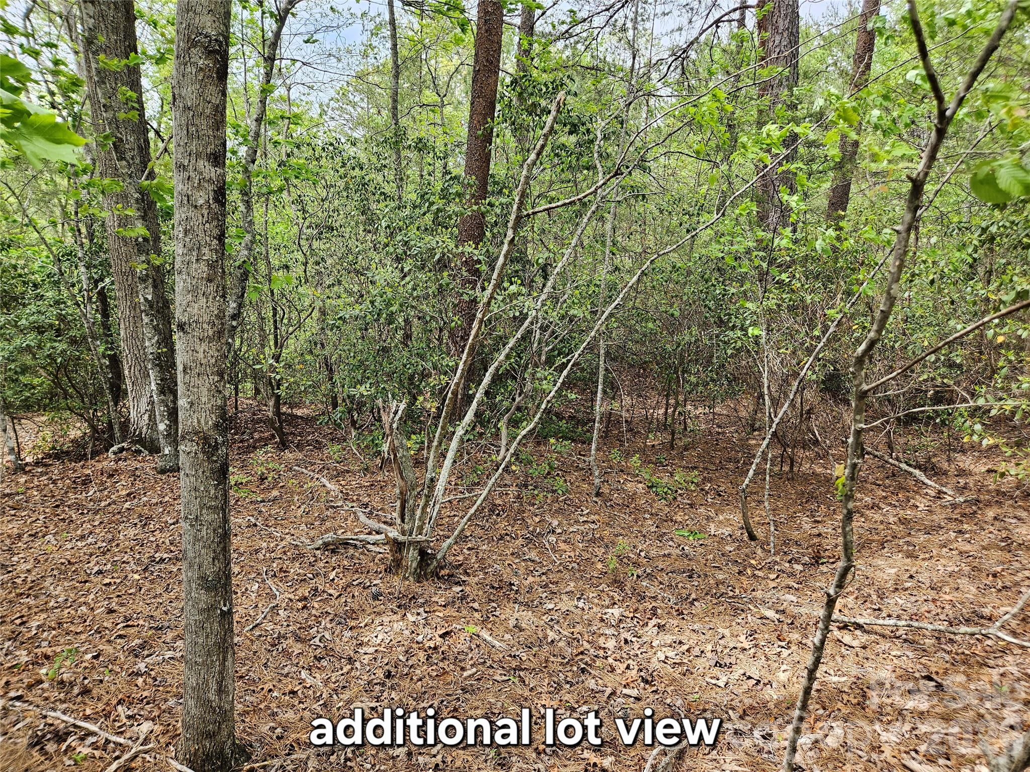 81 North Mill Ridge Nebo, NC 28761 - Photo 2 of 46