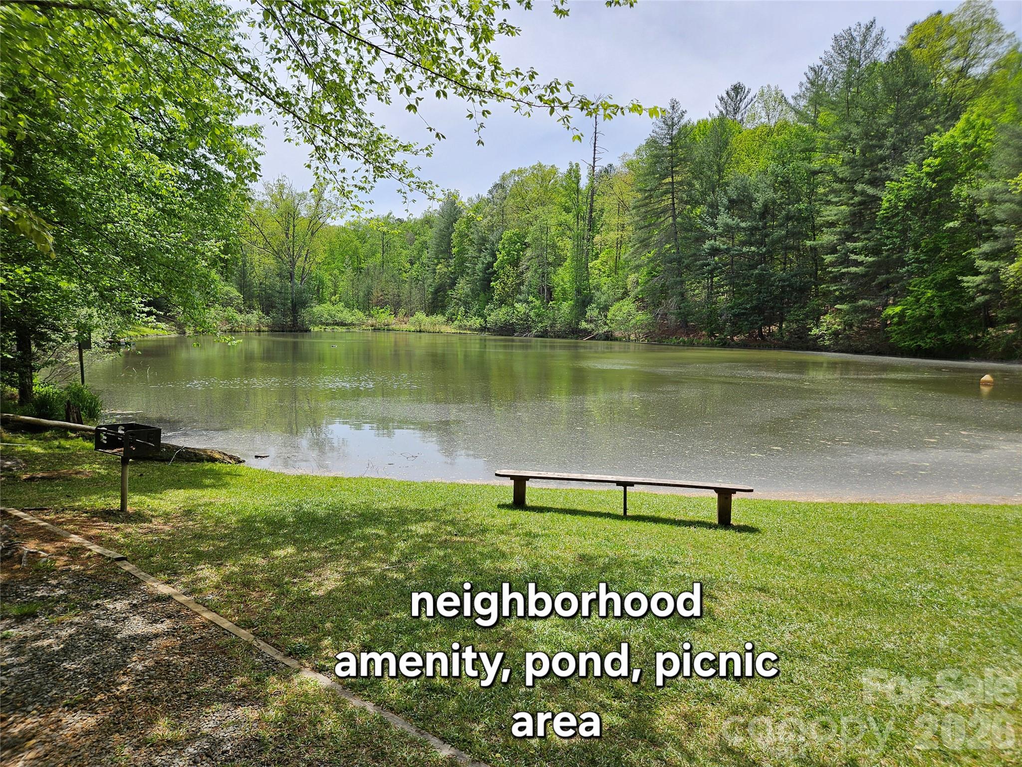 81 North Mill Ridge Nebo, NC 28761 - Photo 28 of 46 a view of a park with large trees