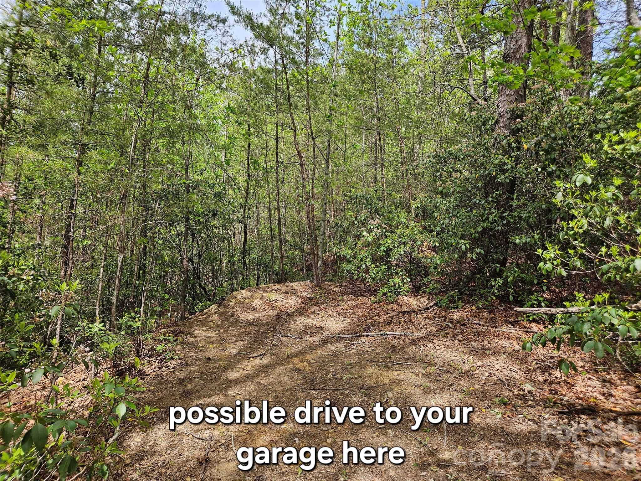 81 North Mill Ridge Nebo, NC 28761 - Photo 6 of 46 a view of a park that has large trees