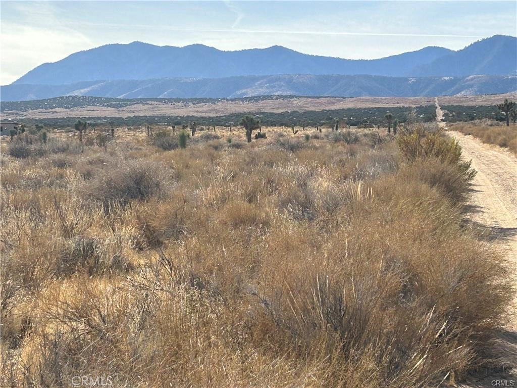 8 Fort Tejon Road Llano, CA 93544 - Photo 2 of 5 a view of an outdoor space with mountain view