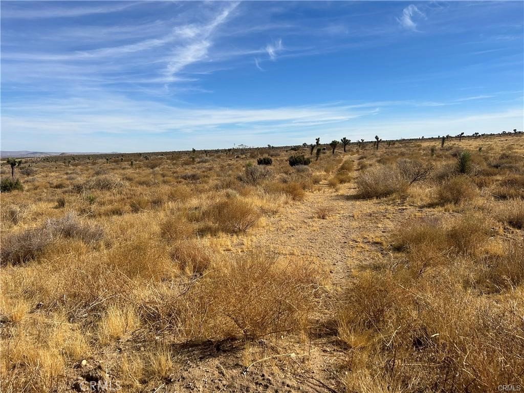 8 Fort Tejon Road Llano, CA 93544 - Photo 4 of 5 a view of a field