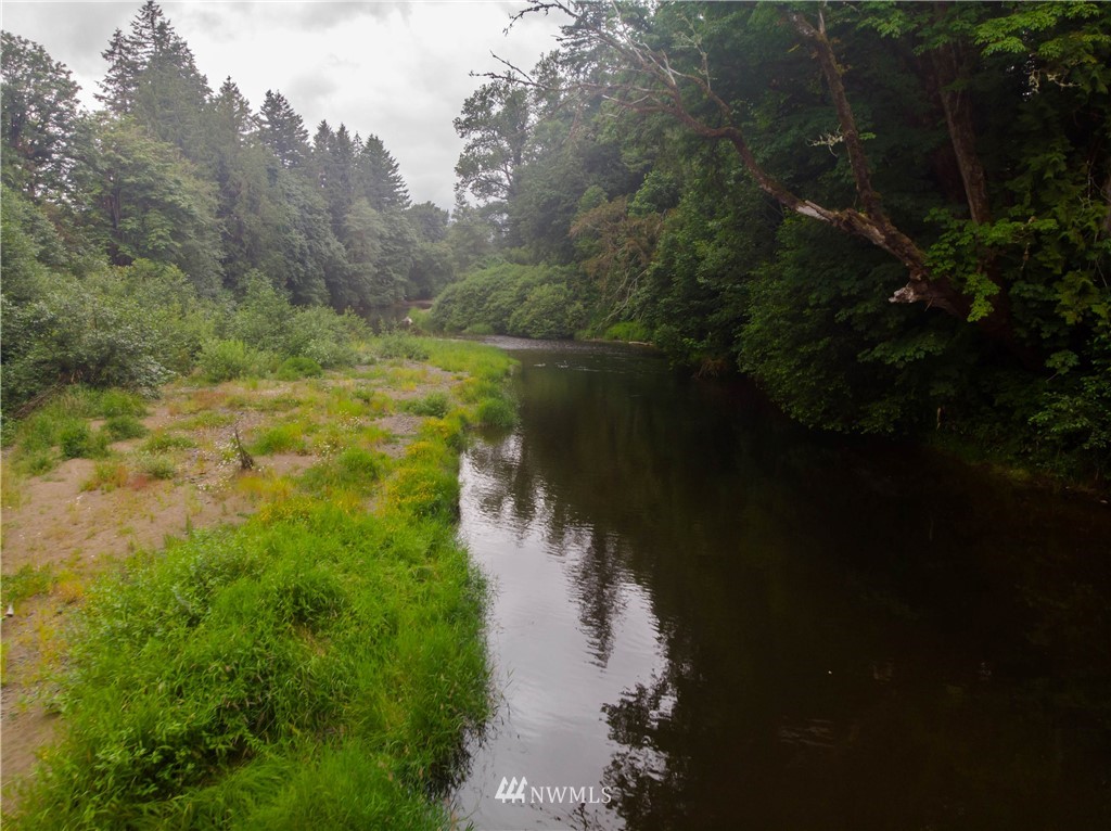 237 Hatchery Road Chehalis, WA 98532 - Photo 16 of 30 a view of lake with green space