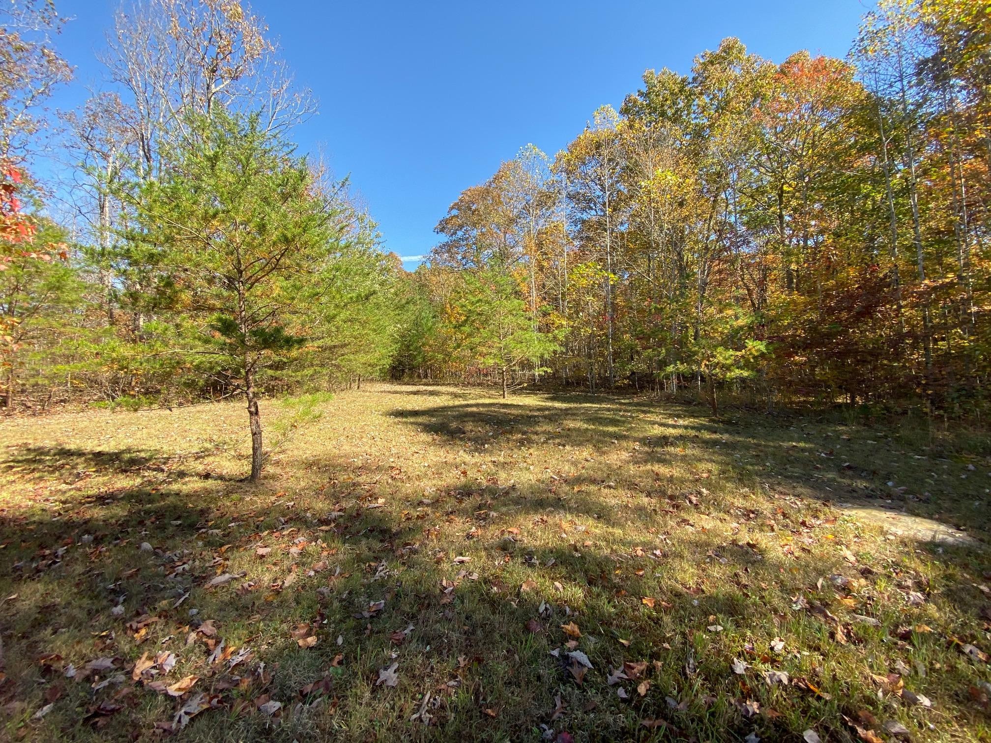 271 Bluff Ridge Road Altamont, TN 37301 - Photo 5 of 8 Gallery Image 5