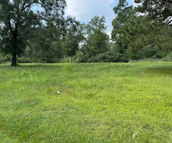 a view of field with trees in the background