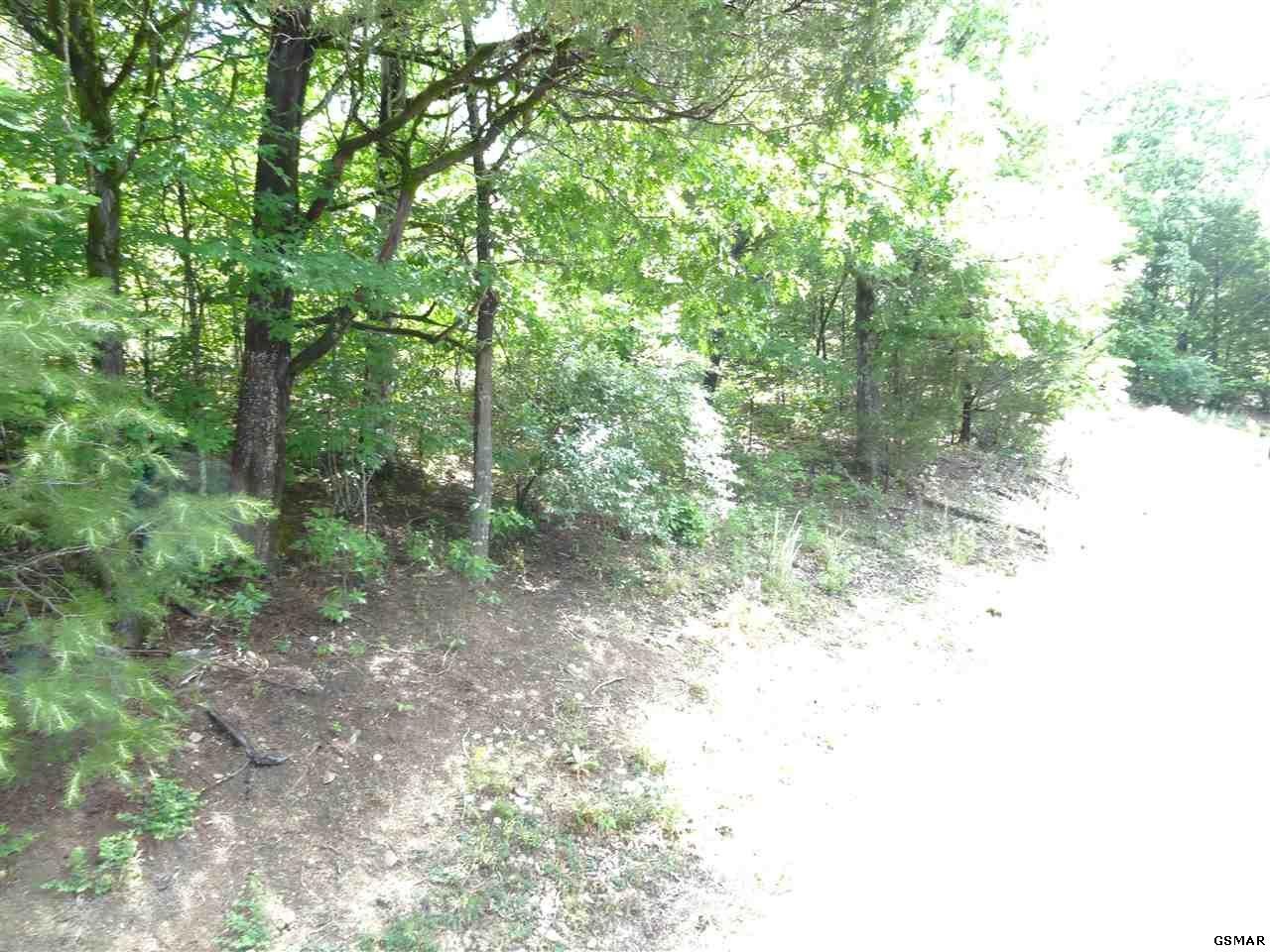 0 Kerr Road Sevierville, TN 37876 - Photo 8 of 11