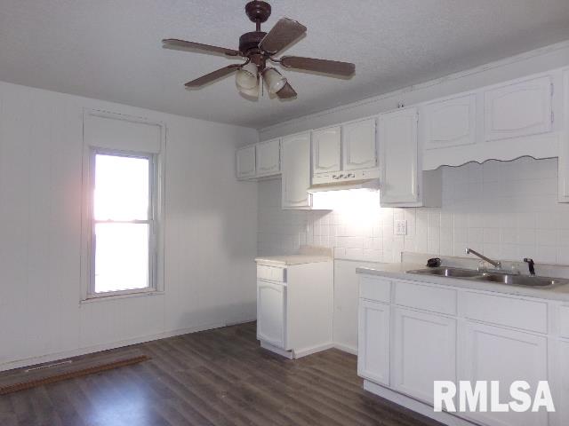 408 Locust Street Muscatine, IA 52761 - Photo 4 of 13 Gallery Image 4