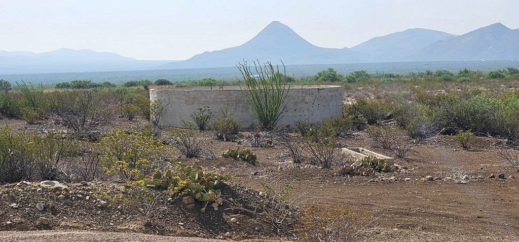 501 Crows Peak Road Alpine, TX 79830 - Photo 21 of 64 Gallery Image 21
