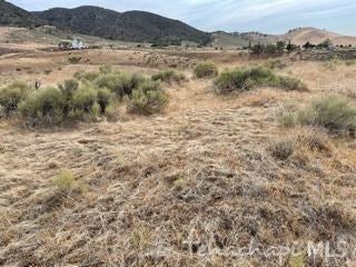 166 Apache Street Tehachapi, CA 93561 - Photo 5 of 11 Gallery Image 5