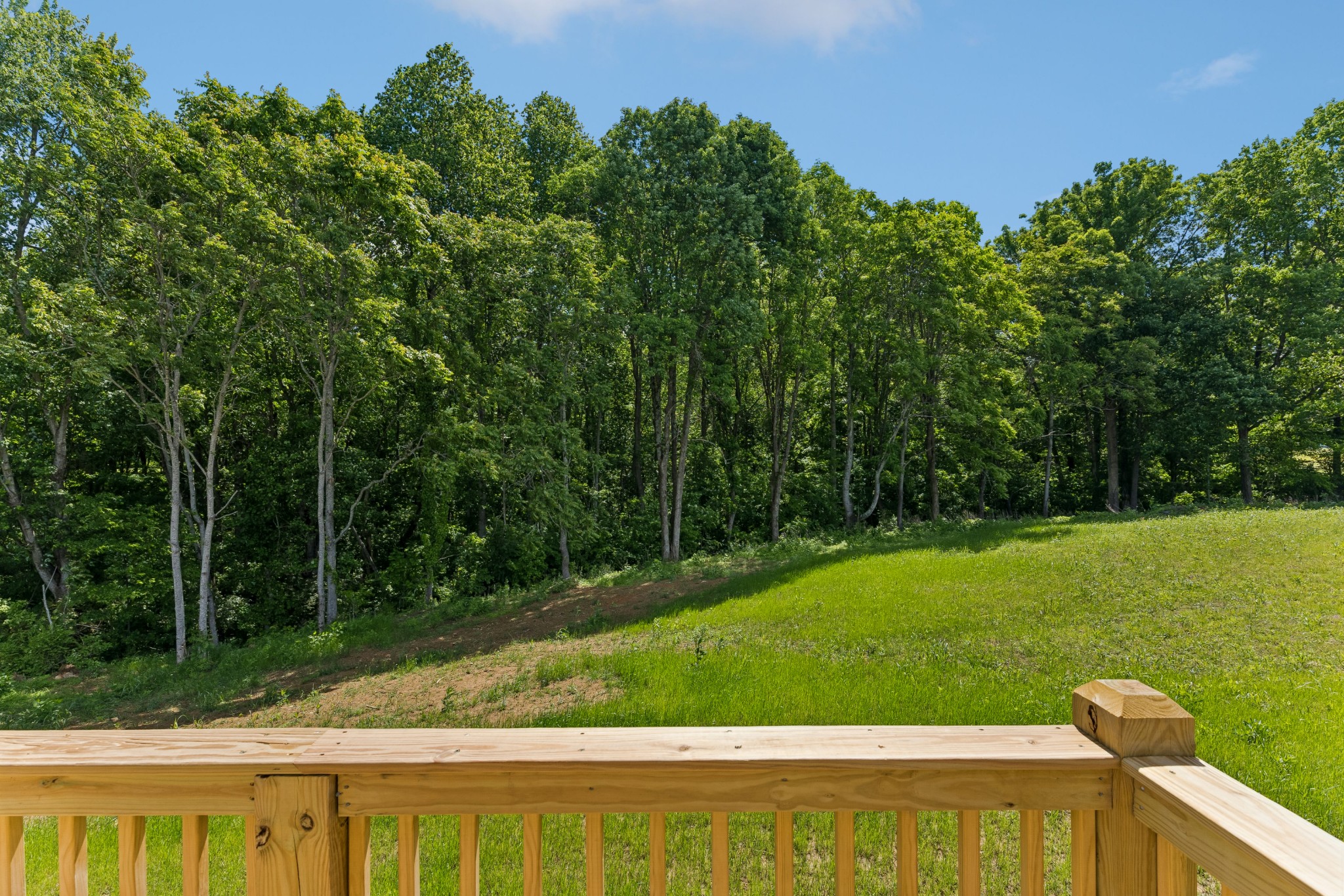 980 Hurricane Ridge Road Smithville, TN 37166 - Photo 41 of 53