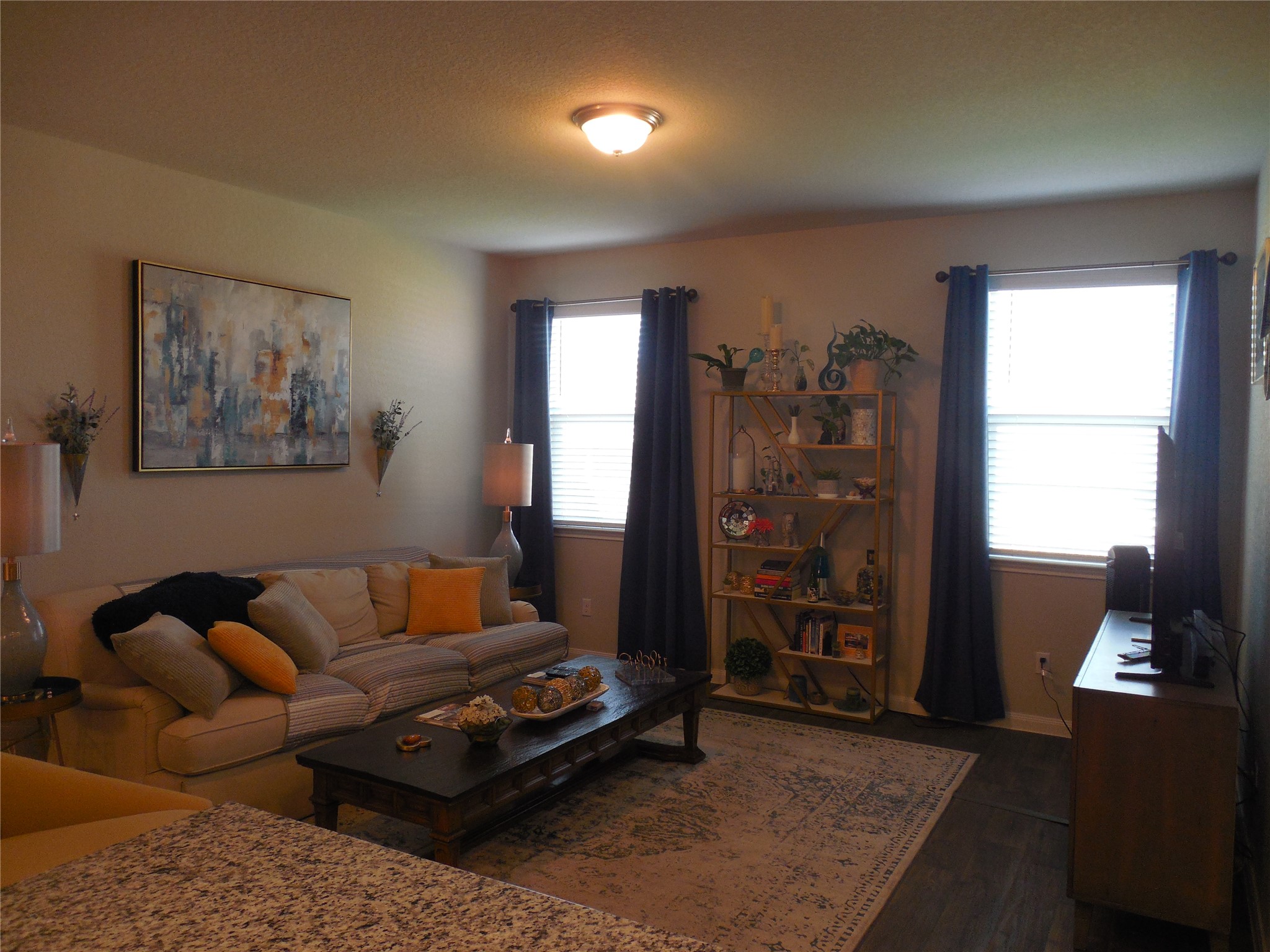 1009 Ferryman Drive Georgetown, TX 78626 - Photo 13 of 24 a living room with furniture and a window