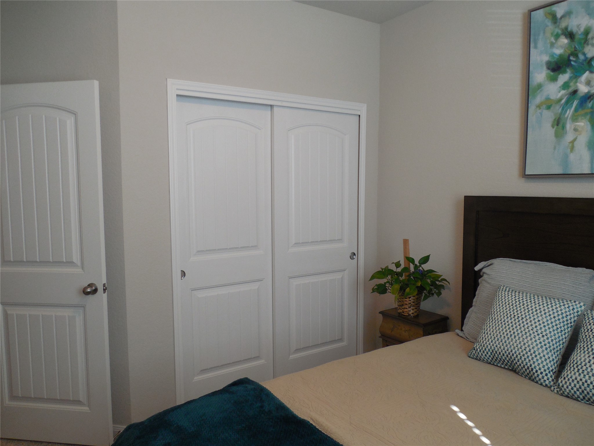 1009 Ferryman Drive Georgetown, TX 78626 - Photo 5 of 24 a room that has a bed and a potted plant