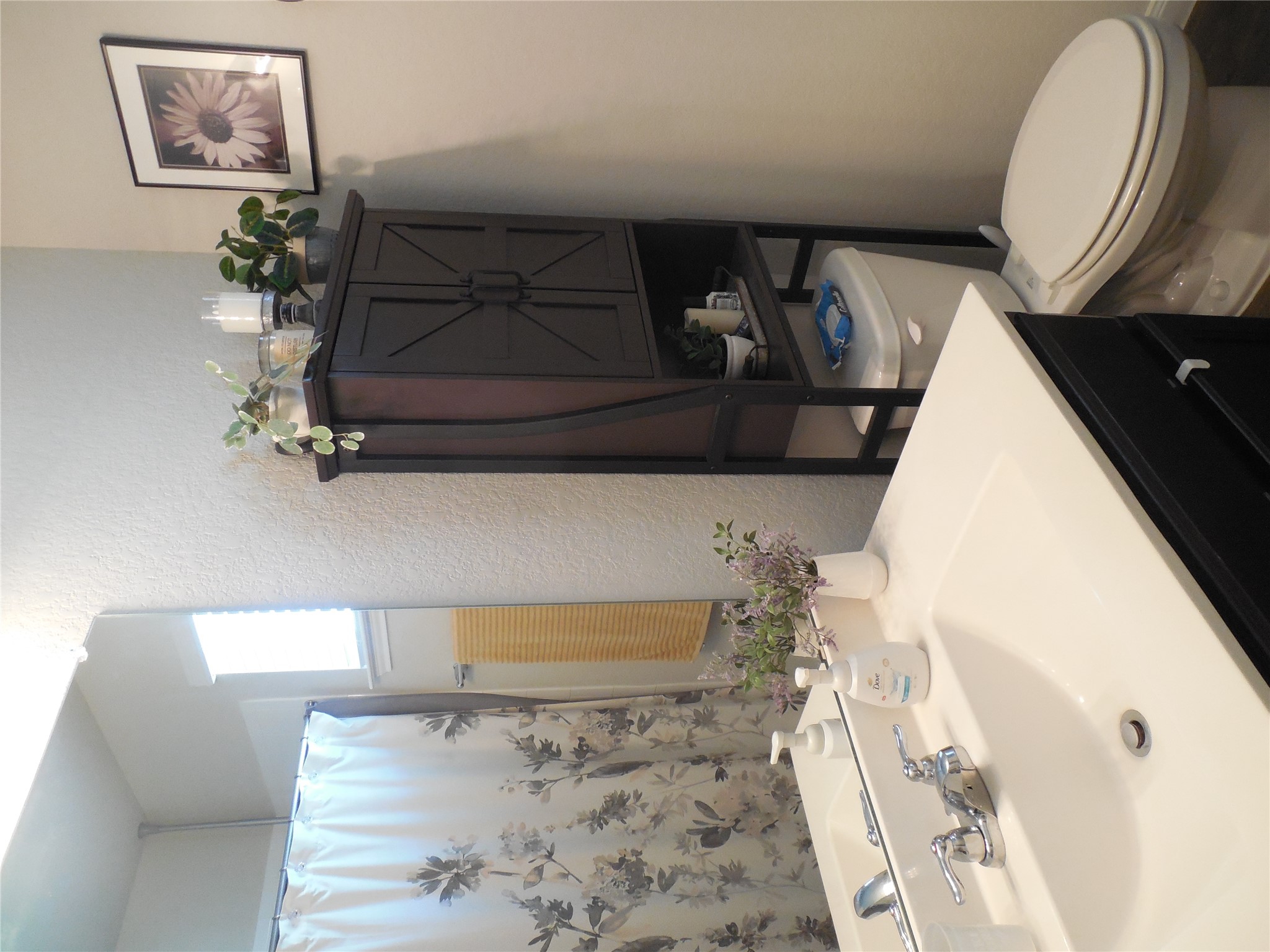1009 Ferryman Drive Georgetown, TX 78626 - Photo 8 of 24 a bathroom with a sink vanity mirror and toilet