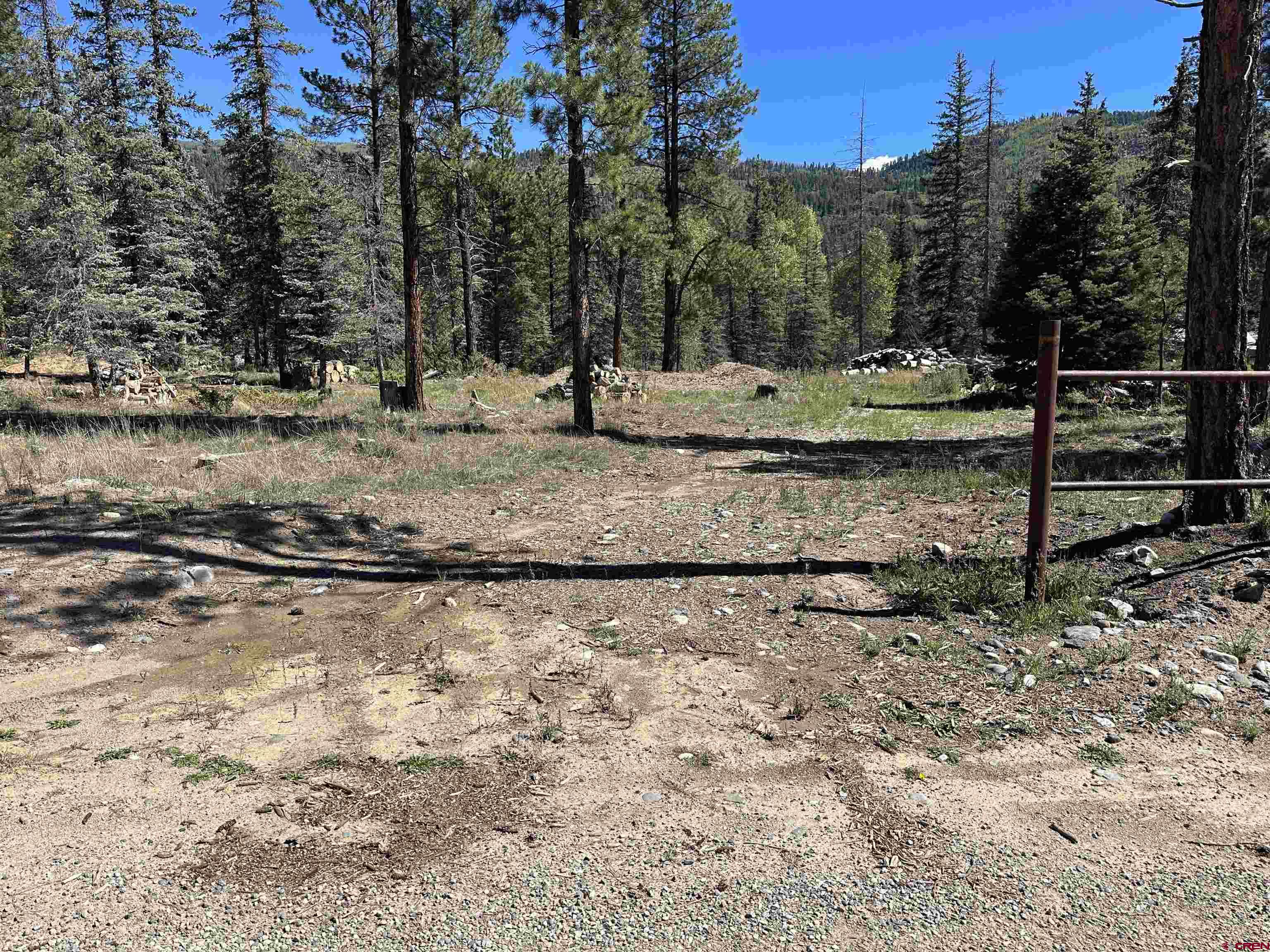 264 Ponderosa Homes Road Bayfield, CO 81122 - Photo 1 of 7 a view of a yard with trees
