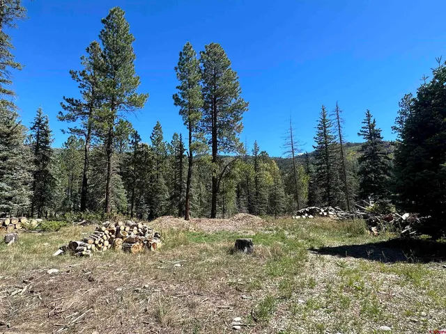 a view of a covered with snow in the background