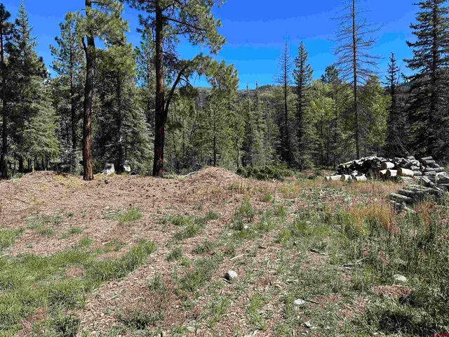 a view of a snow in a yard