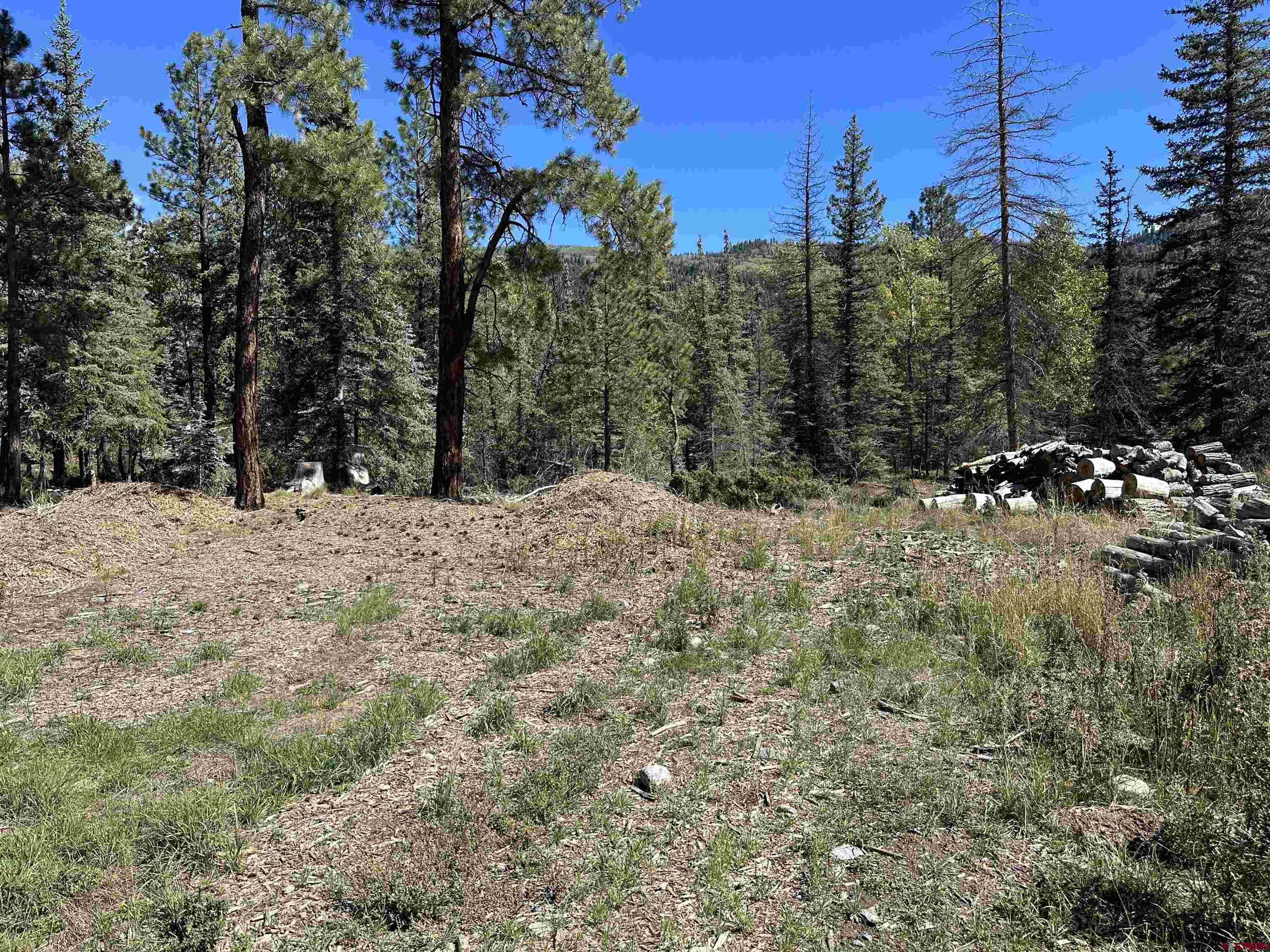 264 Ponderosa Homes Road Bayfield, CO 81122 - Photo 4 of 7 a view of a snow in a yard