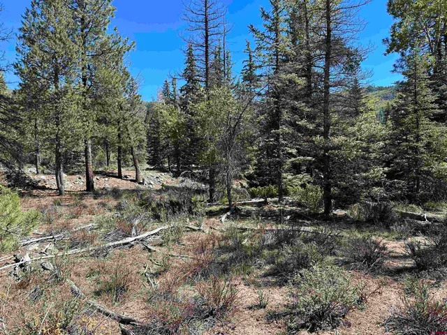 a view of outdoor space with trees