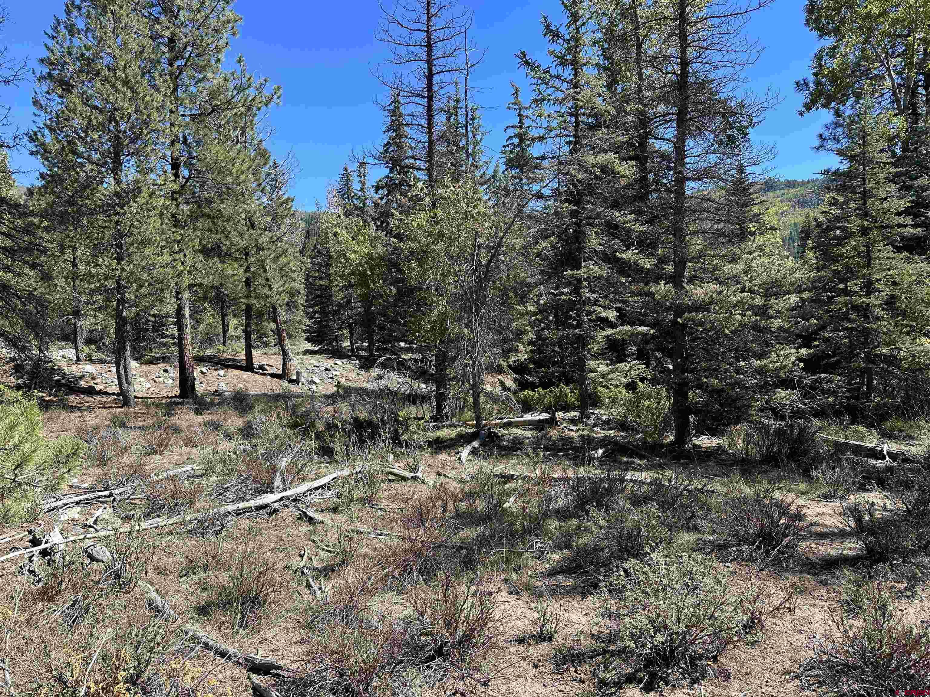 264 Ponderosa Homes Road Bayfield, CO 81122 - Photo 6 of 7 a view of outdoor space with trees