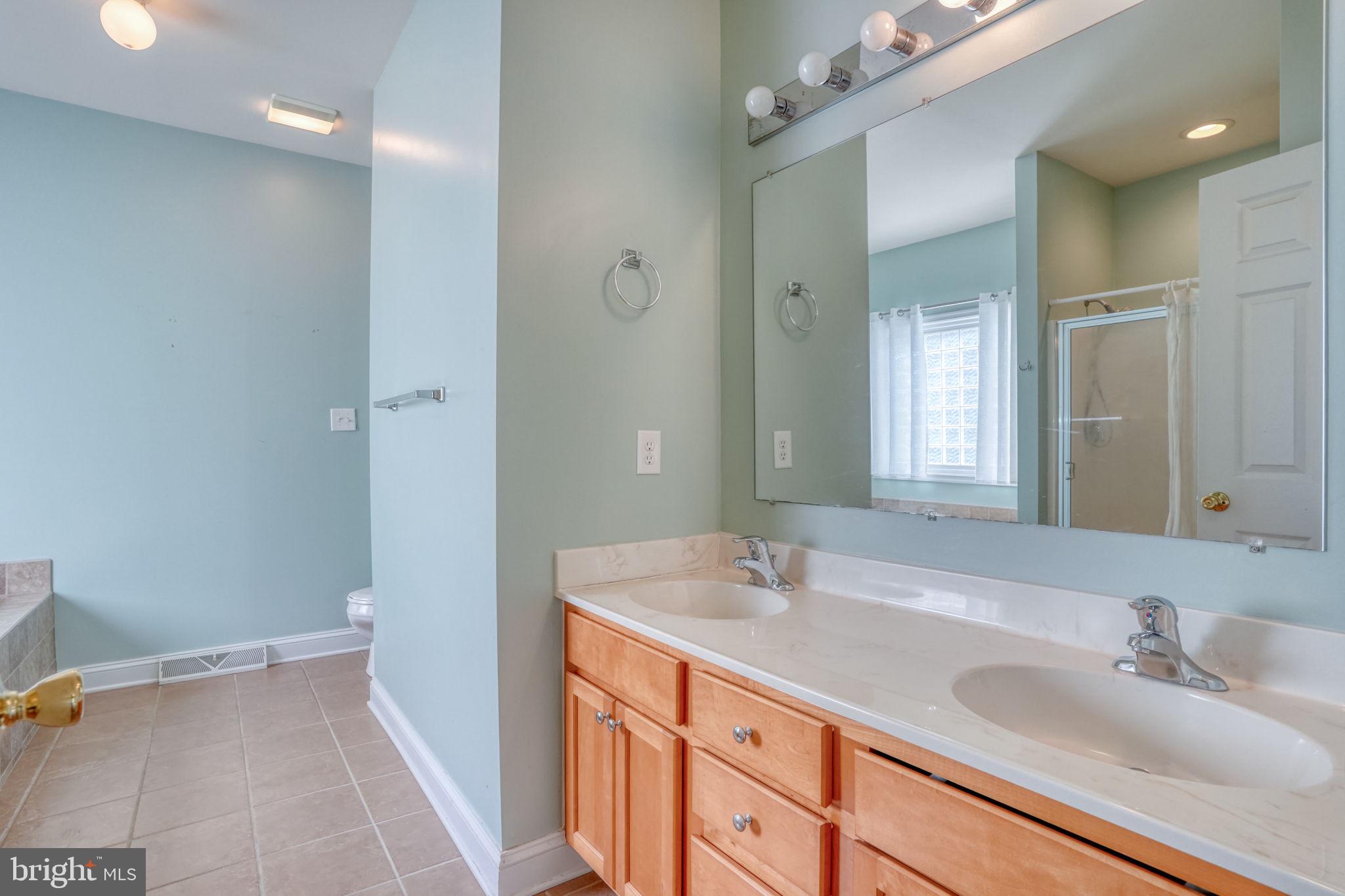 266 Stone Ridge Drive Dover, DE 19901 - Photo 31 of 41 Primary Bathroom