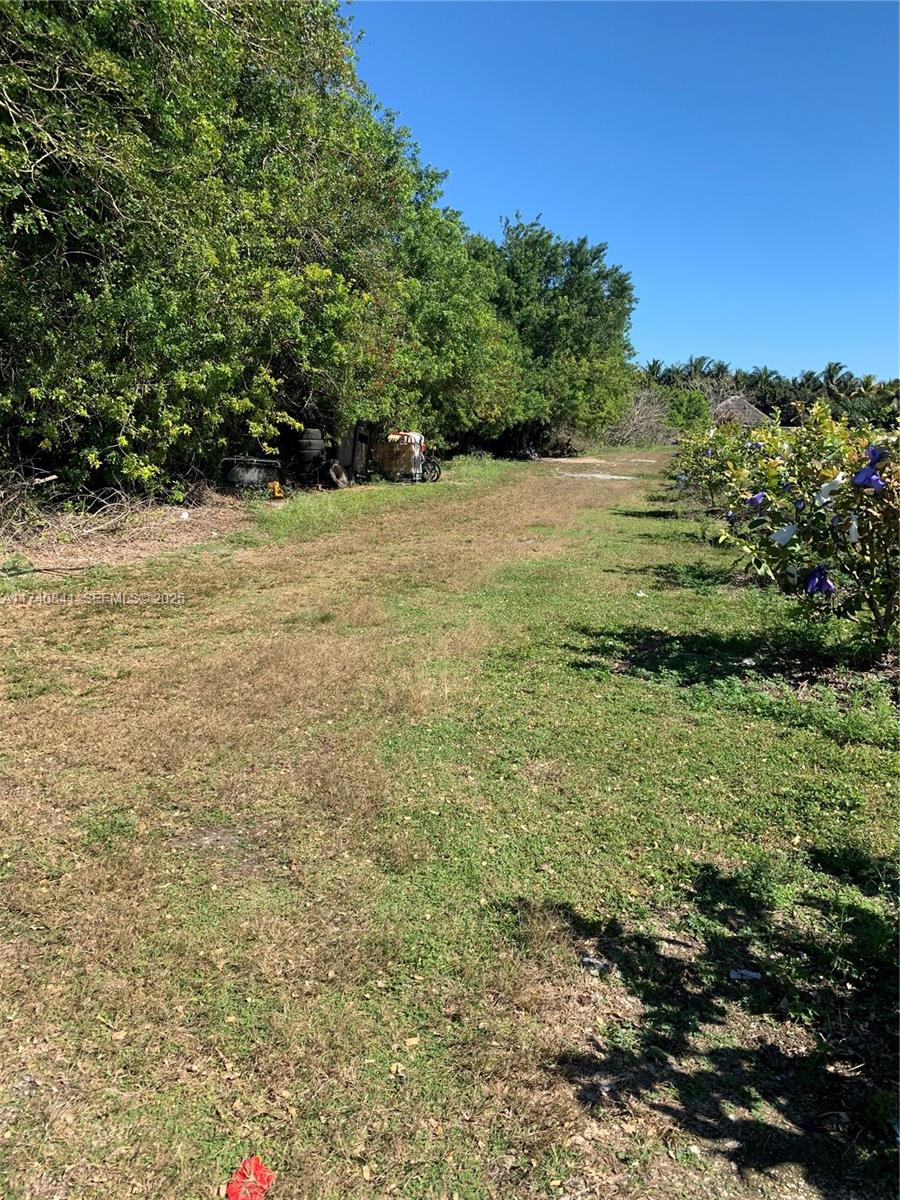 0 Tbd Homestead, FL 33030 - Photo 3 of 10 a view of yard with green space