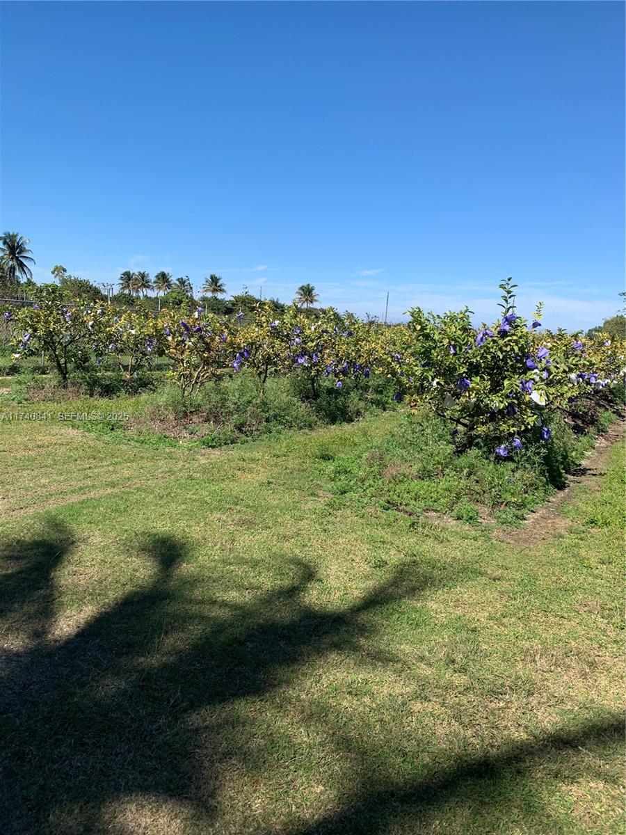 0 Tbd Homestead, FL 33030 - Photo 6 of 10 a view of a field with an ocean