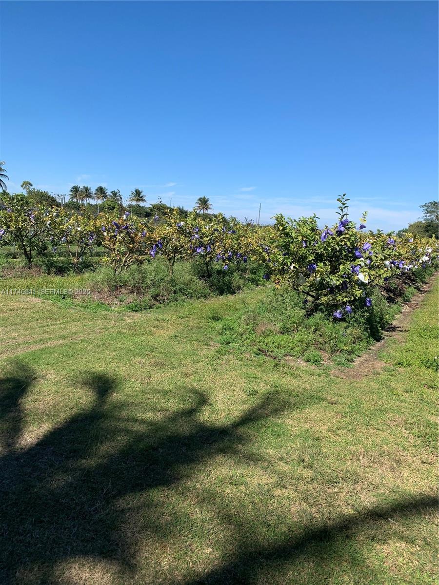 0 Tbd Homestead, FL 33030 - Photo 7 of 10 a view of a large body of water with a building in the background