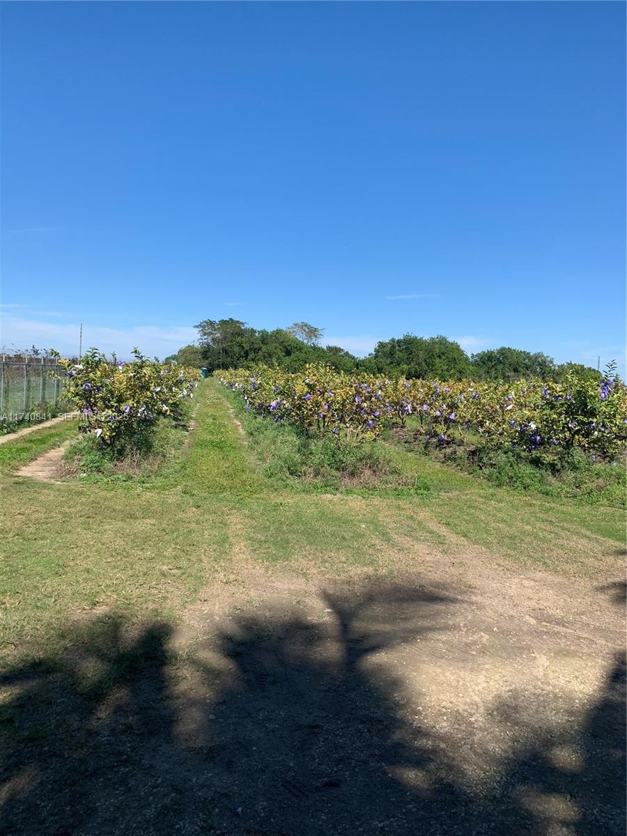 0 Tbd Homestead, FL 33030 - Photo 9 of 10 a view of an outdoor space with mountain view