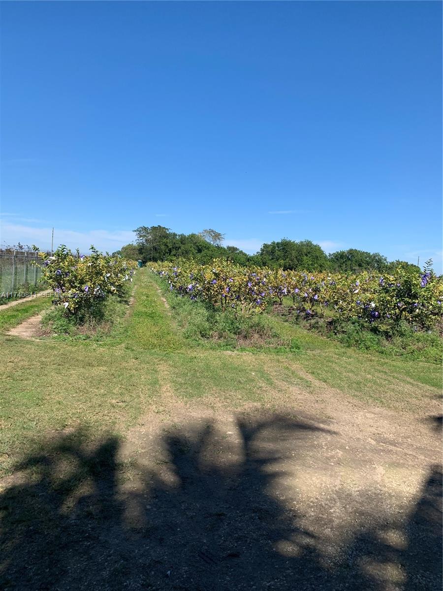 0 Tbd Homestead, FL 33030 - Photo 10 of 10