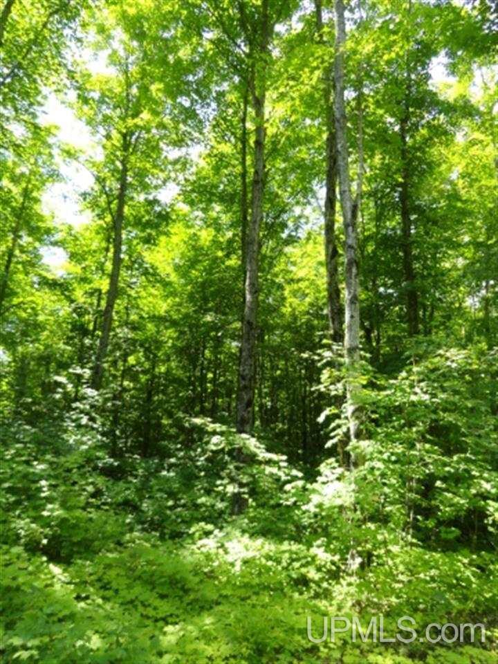 211 Pine Marten Road Negaunee, MI 49866 - Photo 2 of 11 Gallery Image 2